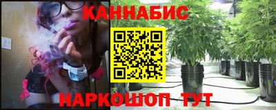 Альфа ПВП Камышлов