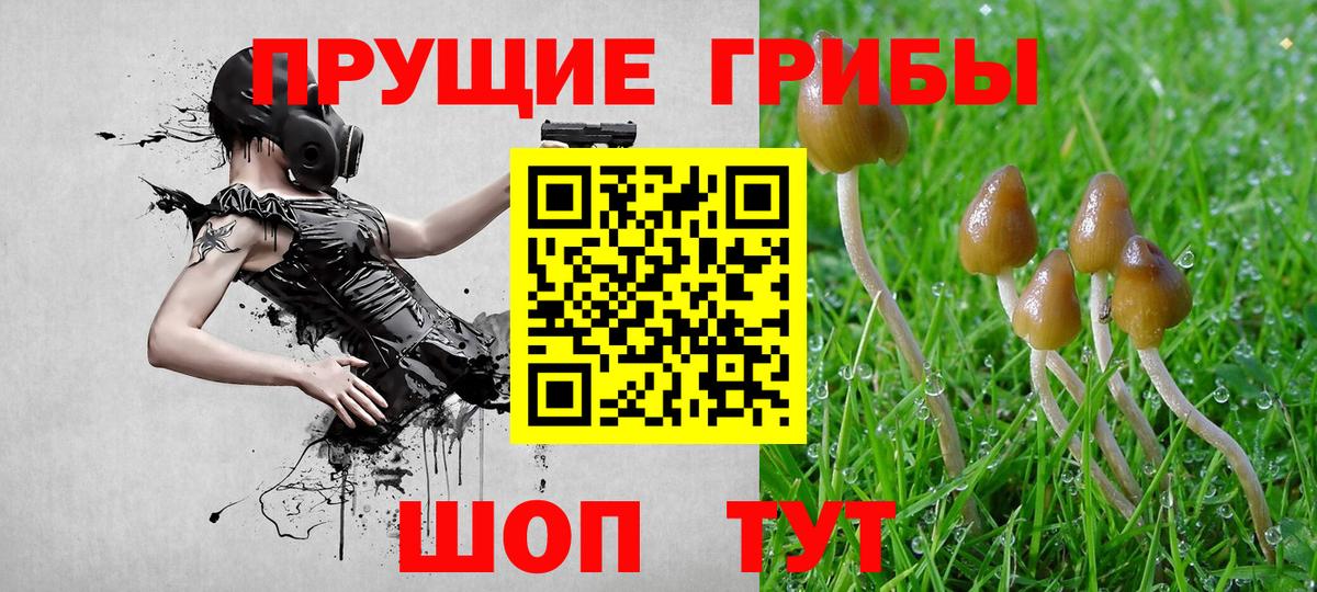 Галлюциногенные грибы ЛСД Кызыл
