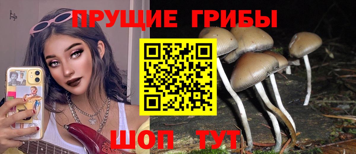 Кызыл  Псилоцибиновые грибы ЛСД  Вход с VPN 